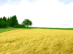 爱游戏电脑版入口基地展示5