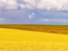 爱游戏电脑版入口基地展示4