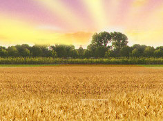 爱游戏电脑版入口基地展示3