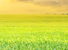 爱游戏电脑版入口基地展示1